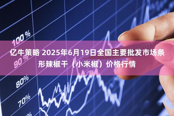亿牛策略 2025年6月19日全国主要批发市场条形辣椒干（小米椒）价格行情